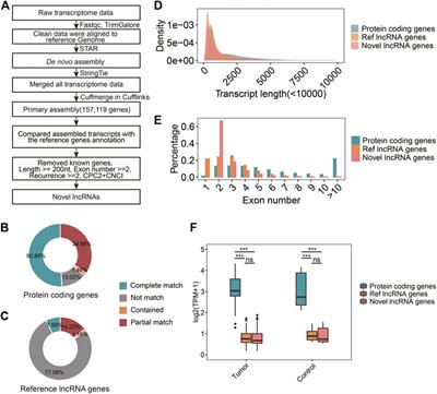 Systematic Investigation of Immune-Related lncRNA Landscape Reveals a Potential Long Non-Coding RNA Signature for Predicting Prognosis in Renal Cell Carcinoma